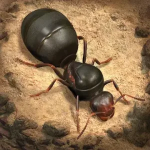 دانلود مود بازی The Ants Underground Kingdom